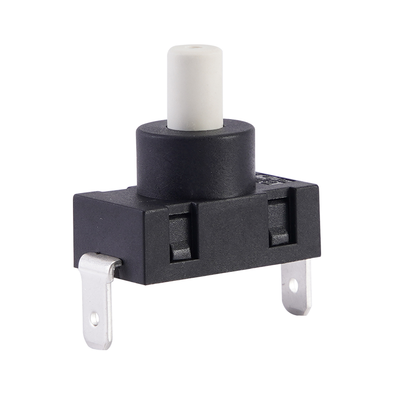 7037-BH2-P19A Button switches